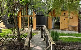 Conacul Lui Patrick Guest House
